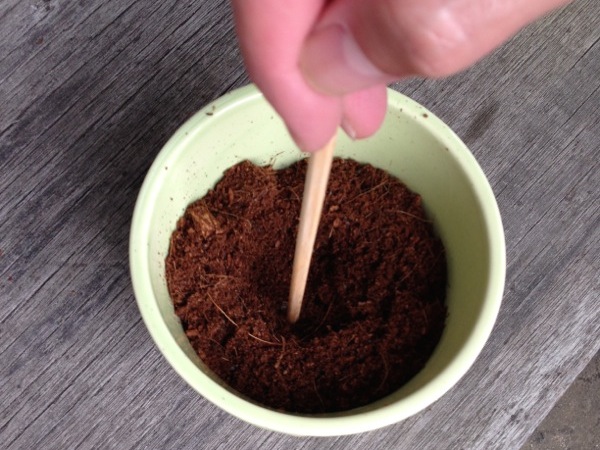 ���ɓy�����ꌊ��������