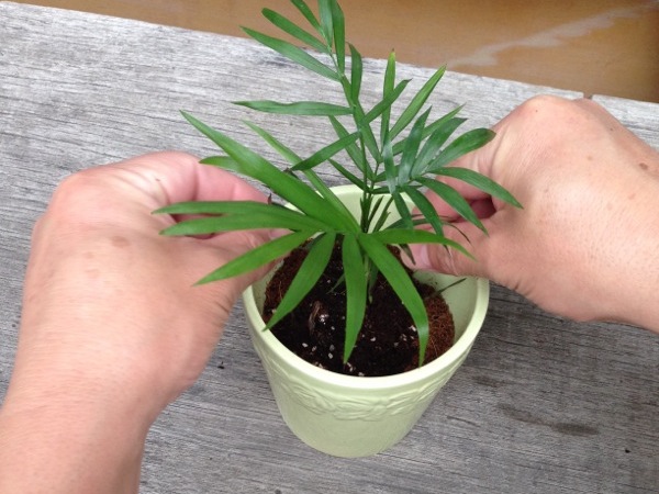 �e�[�u�����V�𔫂ɓ����