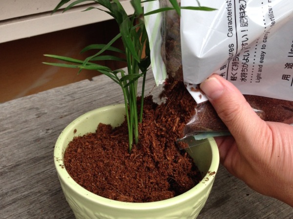 �e�[�u�����V�𔫂ɓ����