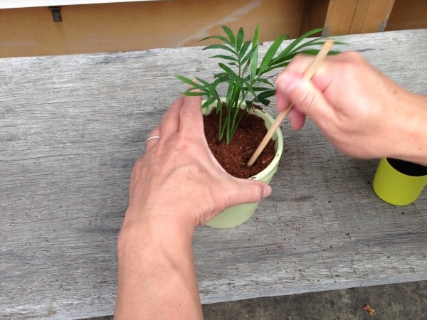 ��������΂��ł��Č��Ԃ��Ȃ���