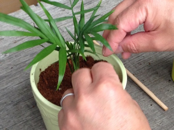 �e�[�u�����V�̍������y����������