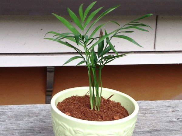 �e�[�u�����V�̐A���ւ�����